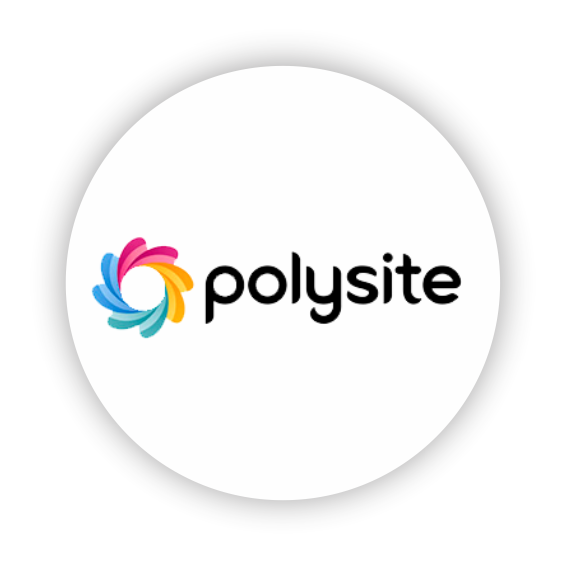 Relato Polysite sobre integração de sistemas ERP online