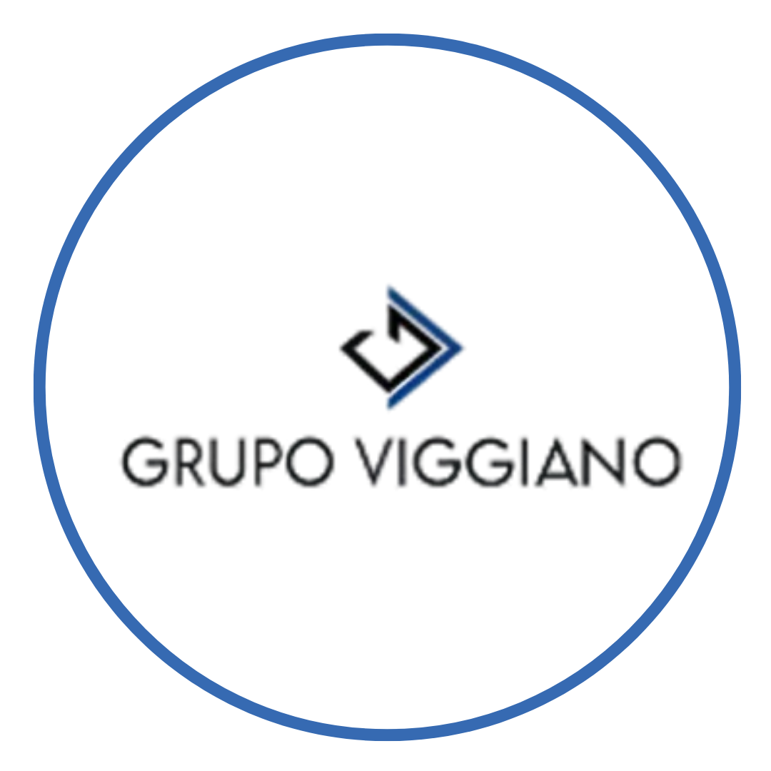 Logo do Grupo Viggiano